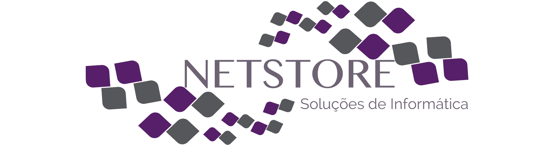 Netstore Logo